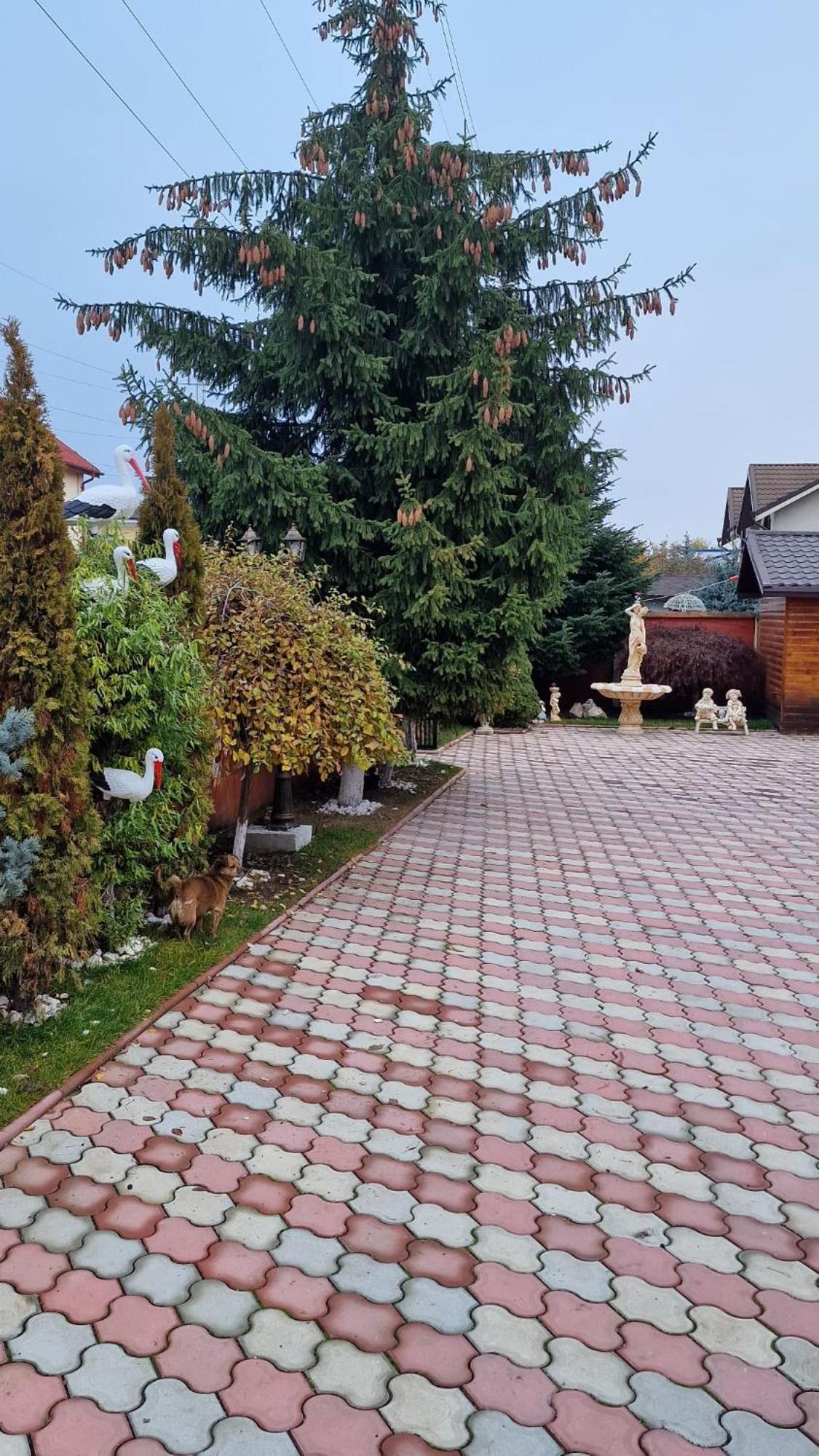 Pensiunea Toma Плоешти Экстерьер фото